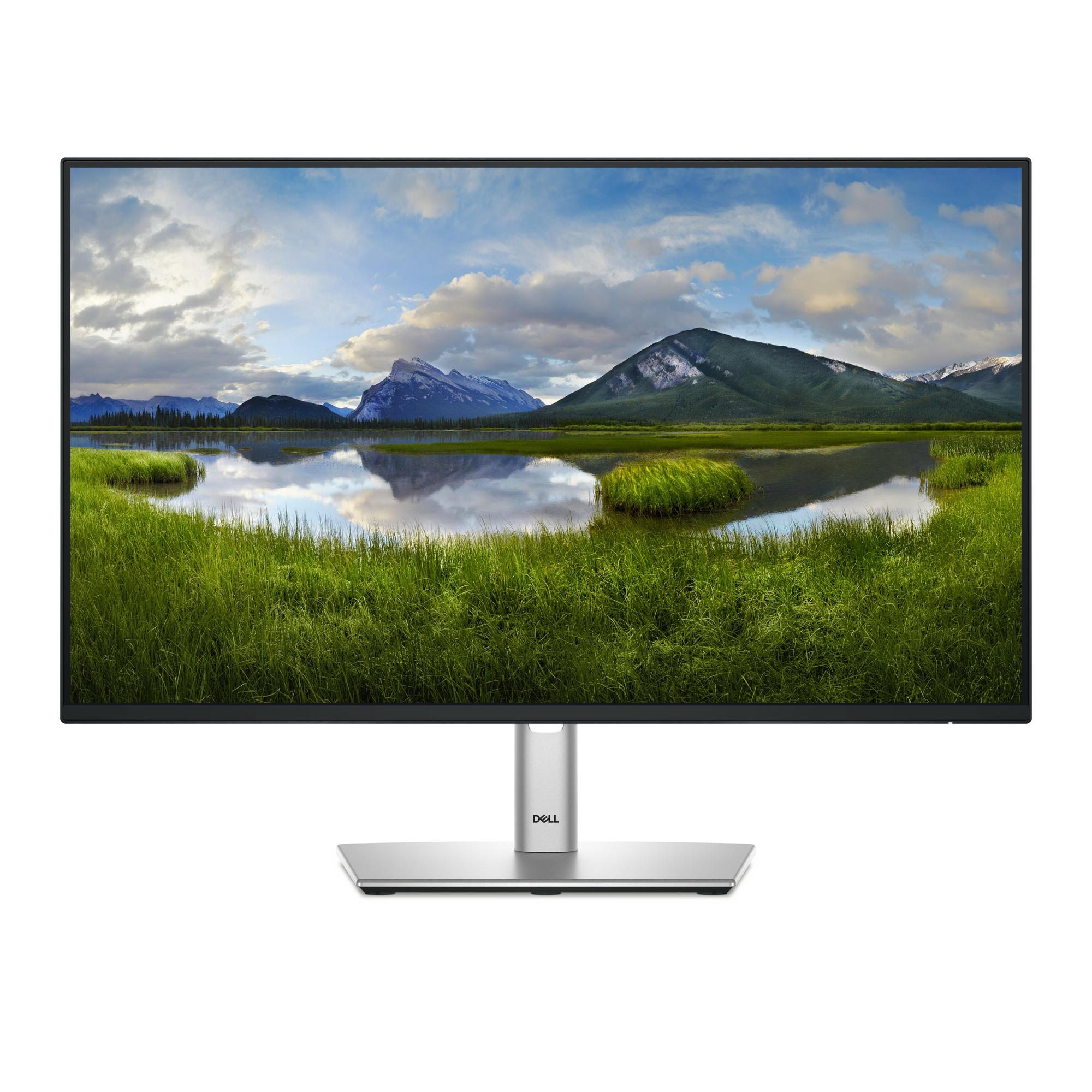 Dell P2425H 24 düymlük monitor